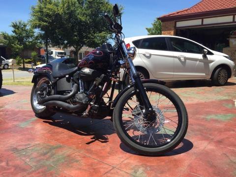 Harley Davidson Softatil