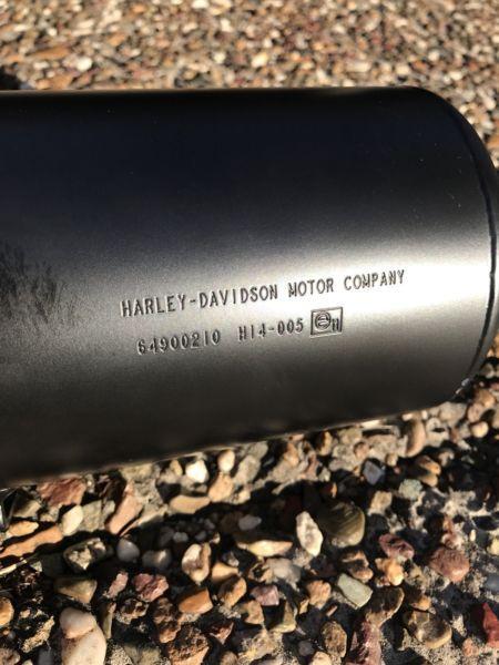 Harley Davidson Street 500 Exhaust System