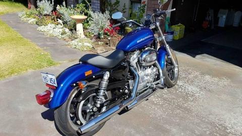 Harley Davidson Sportster XL883 Superlow