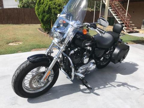 Harley Davidson XL1200 sportster custom in great condition
