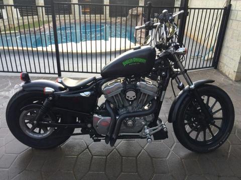 Harley Davidson sportster bobber custom chopper