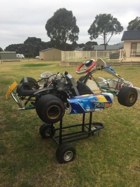 Tony kart Rotax 125 ( SOLD ::: Pending payment )
