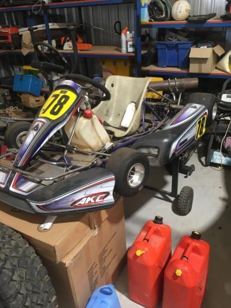 Go Kart Purchased over 12 months ago in a running condition