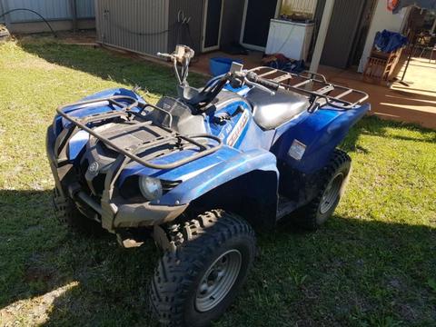 Grizzly 700 for sale