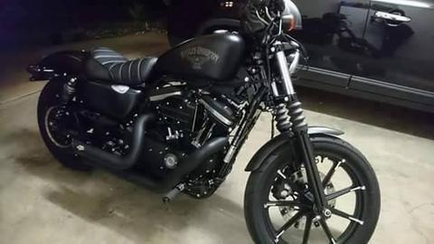 2017 Harley Davidson Iron