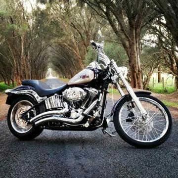Harley Davidson Softail Custom FXSTC