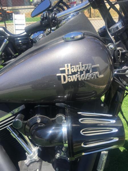 Harley street bob