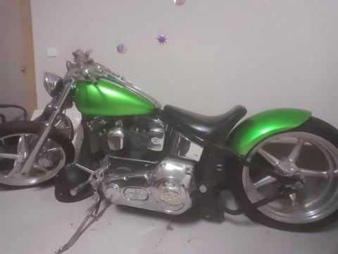 1993 softail custom unfinished project