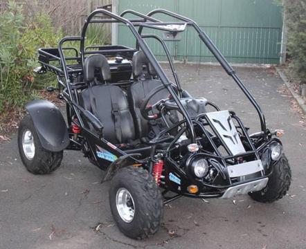 300cc XRX Dune Buggy Offroad Go Kart Fun Kids Quad Bike Dirt ATV
