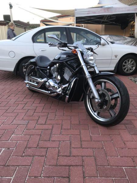 Harley Davidson V-Rod custom 2003