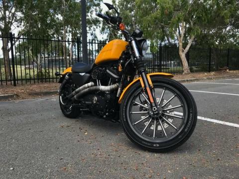 2011 Harley-Davidson Iron 883