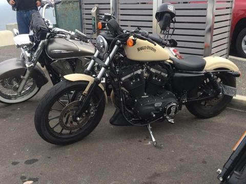 Harley Davidson iron 883 custom