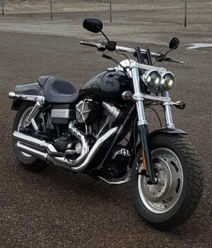 Harley davidson fat bob