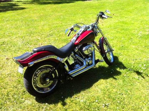 Harley Davidson softail custom 1584cc. Text or call only. No emails