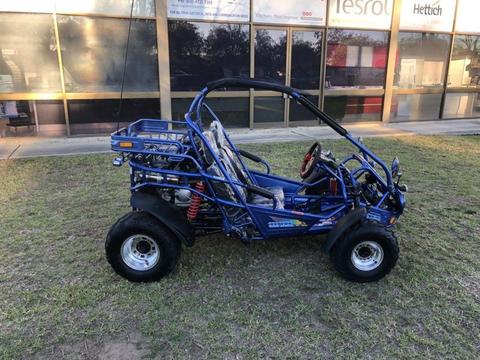 Off road XRX buggy 300cc beast