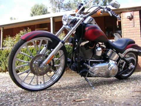 2009 Harley Davidson Custom Softtail