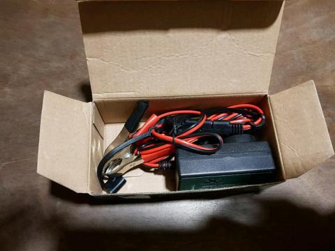 12v battery charger 900 MA