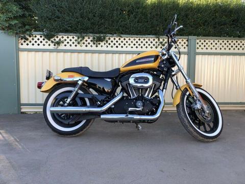 Wanted: Harley Davidson sportster 1200