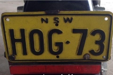 Hog number plate