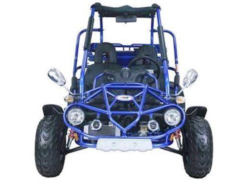 300cc Trail master buggy off-road