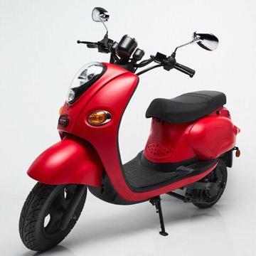 2016 Electric Scooter