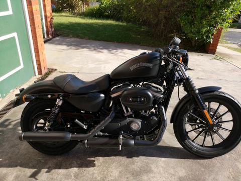 Harley davidson Iron 883 LOW kms amazing condition