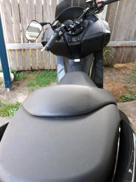 Honda motor scooter