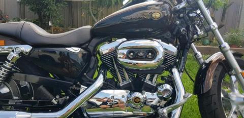 Harley Davidson Sportster 110th Anniversary Custom $12,000 ono
