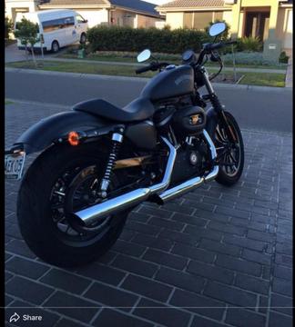 2013 Harley Davidson Iron 883 (XL883N)