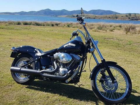 Harley Davidson Softail 2005 Priced to Sell