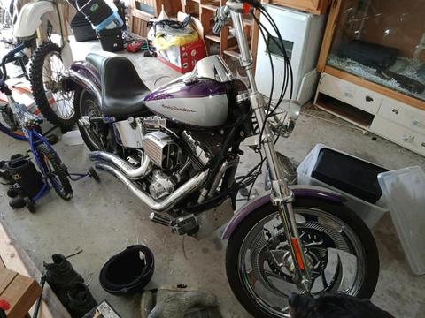 Harley Davidson custom deuce