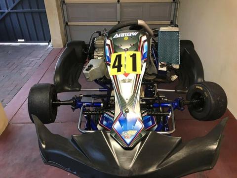 Go Kart Arrow X3 Vegas