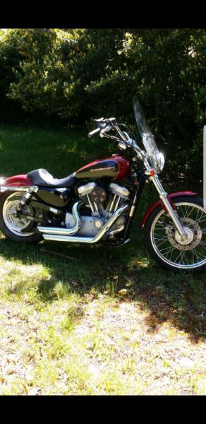 2007 Harley Davidson 883 XL Sportster$8500 cash , Swap or Trade