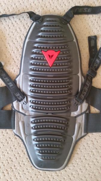 Dainese back protector