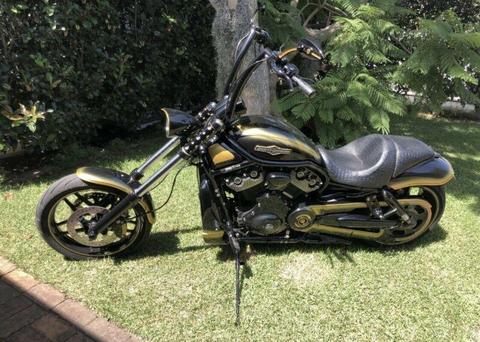 Harley Nightrod Custom
