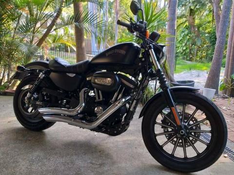 HarleyDavidson XL883 - A sweet ride for Sale!