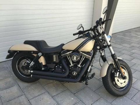 Custom FY 2014 Harley Davidson Fat Bob Custom (FXDF)