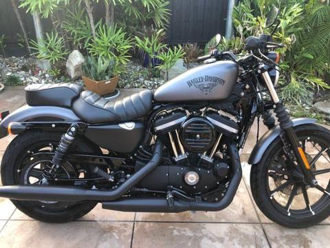 2016 Harley-Davidson Iron 883 (XL883N)