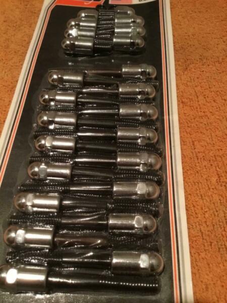 Harley sportster custom primary bolts