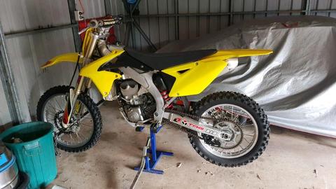 2010 RMZ450