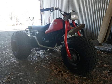 1984 Vintage Honda Trike