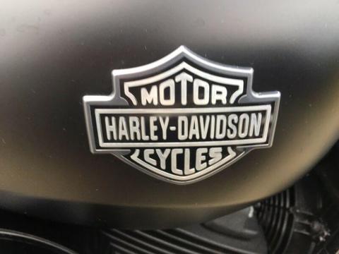 Harley Davidson Street 500 2017