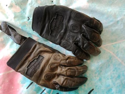 Harley Davidson Gloves (Large)