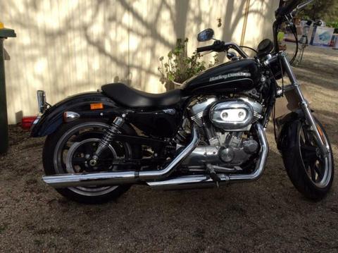 Harley Davidson 883 super low in as new condition