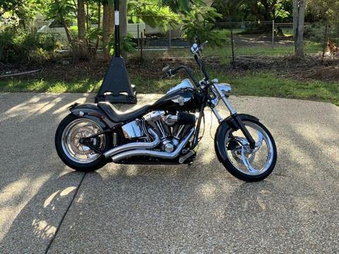 Harley Davidson softail custom