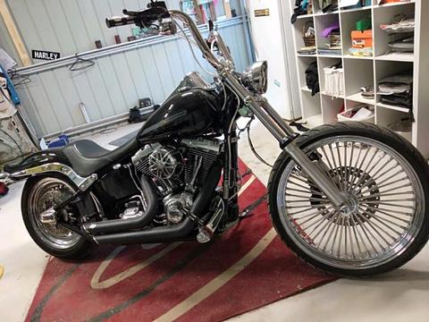 Harley Davidson softtail custom