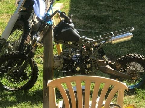 custom 125cc pitbike