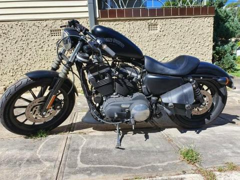 Harley Davidson 883 custom