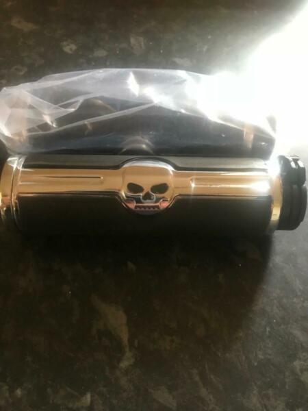 Harley Davidson skull handgrips