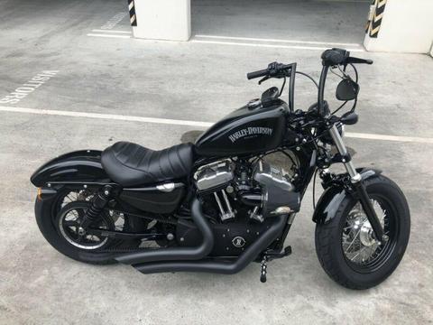 2011 custom Harley Davidson 48